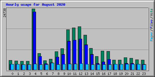 Hourly usage for August 2020
